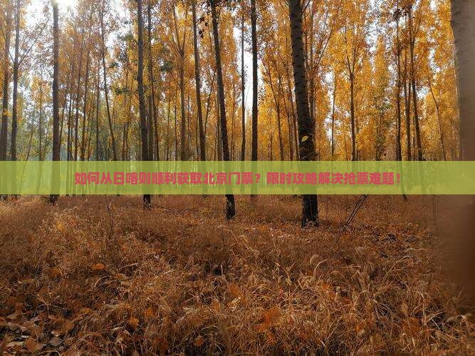 如何从日喀则顺利获取北京门票？限时攻略解决抢票难题！