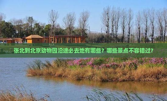 张北到北京动物园沿途必去地有哪些？哪些景点不容错过？