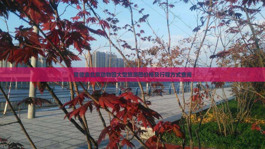 常德去北京动物园大型旅游团价格及行程方式查询