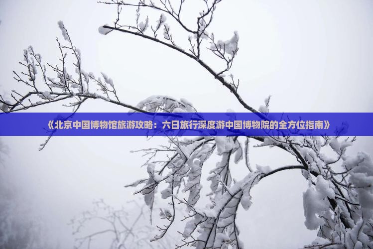 《北京中国博物馆旅游攻略：六日旅行深度游中国博物院的全方位指南》