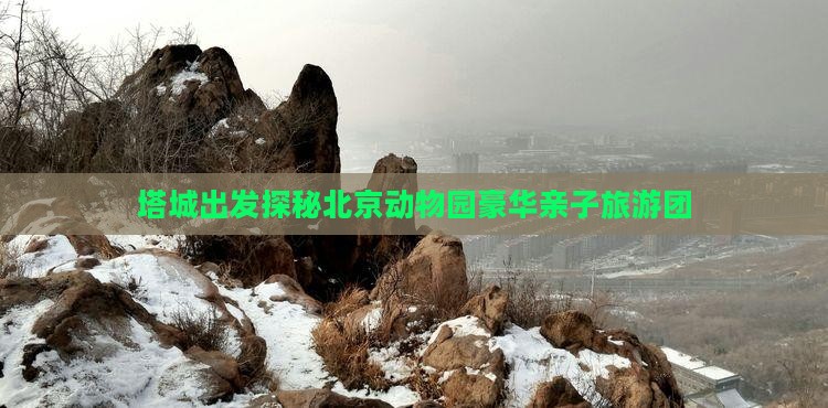 塔城出发探秘北京动物园豪华亲子旅游团