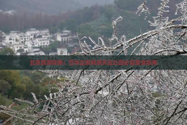 北京旅游攻略：巴中出发畅游天坛公园必尝美食指南
