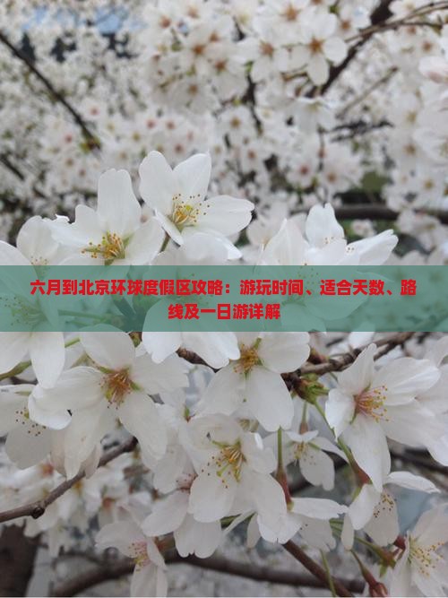 六月到北京环球度假区攻略：游玩时间、适合天数、路线及一日游详解