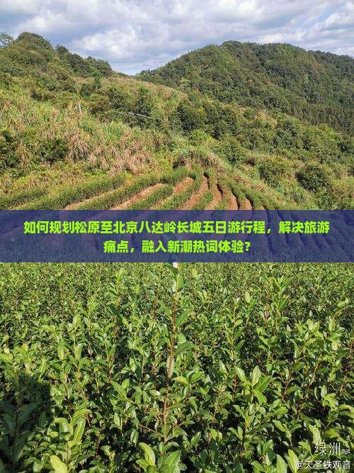 如何规划松原至北京八达岭长城五日游行程，解决旅游痛点，融入新潮热词体验？