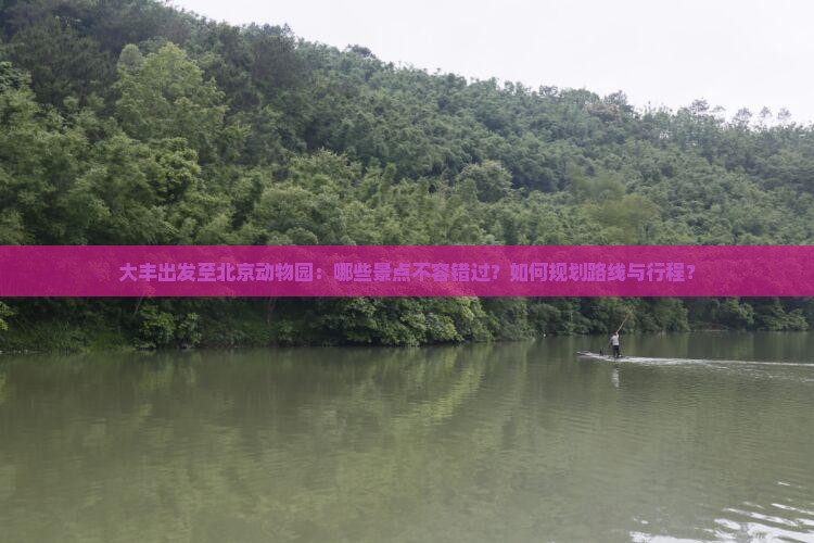 大丰出发至北京动物园：哪些景点不容错过？如何规划路线与行程？