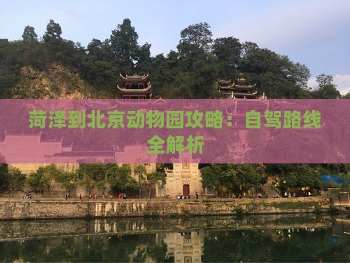 菏泽到北京动物园攻略：自驾路线全解析