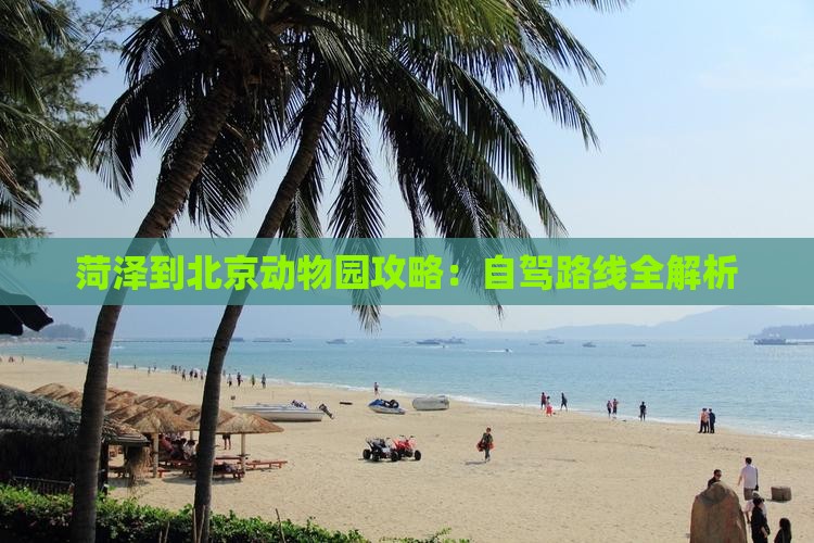 菏泽到北京动物园攻略：自驾路线全解析