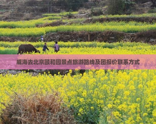 威海去北京颐和园景点旅游路线及团报价联系方式