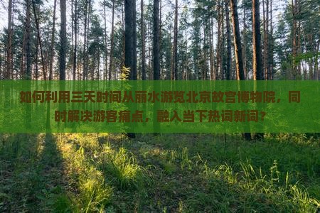 如何利用三天时间从丽水游览北京故宫博物院，同时解决游客痛点，融入当下热词新词？