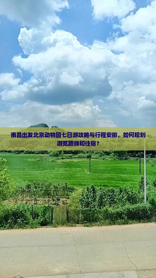 南昌出发北京动物园七日游攻略与行程安排，如何规划游览路线和住宿？