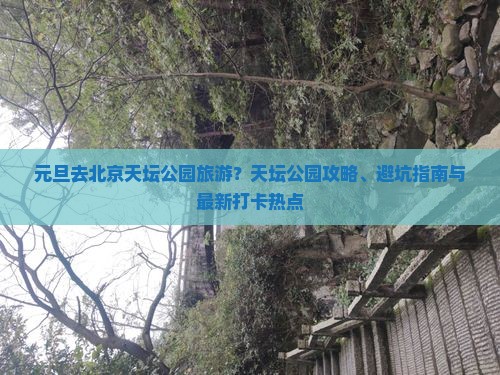 元旦去北京天坛公园旅游？天坛公园攻略、避坑指南与最新打卡热点