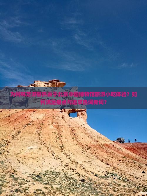 为何林芝游客热衷于北京中国博物馆旅游小吃体验？如何满足痛点与追求热词新词？