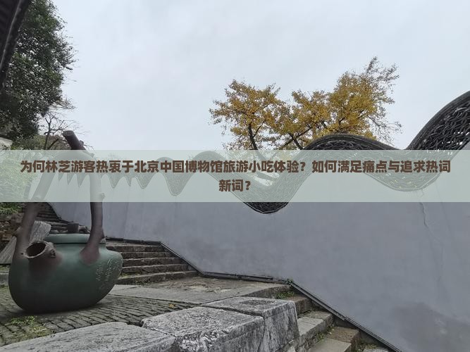 为何林芝游客热衷于北京中国博物馆旅游小吃体验？如何满足痛点与追求热词新词？