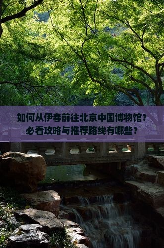 如何从伊春前往北京中国博物馆？必看攻略与推荐路线有哪些？