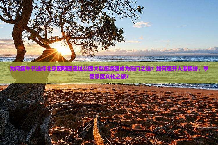 为何端午节选择北京圆明园遗址公园大型旅游团成为热门之选？如何避开人潮拥挤，享受深度文化之旅？