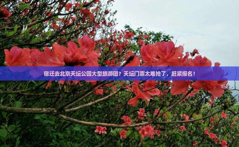 宿迁去北京天坛公园大型旅游团？天坛门票太难抢了，赶紧报名！