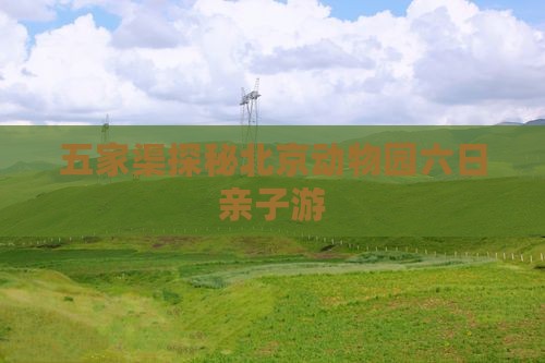 五家渠探秘北京动物园六日亲子游