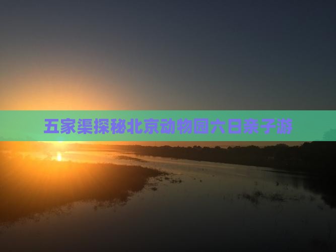 五家渠探秘北京动物园六日亲子游