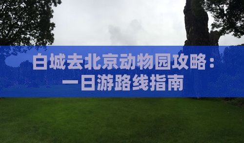 白城去北京动物园攻略：一日游路线指南