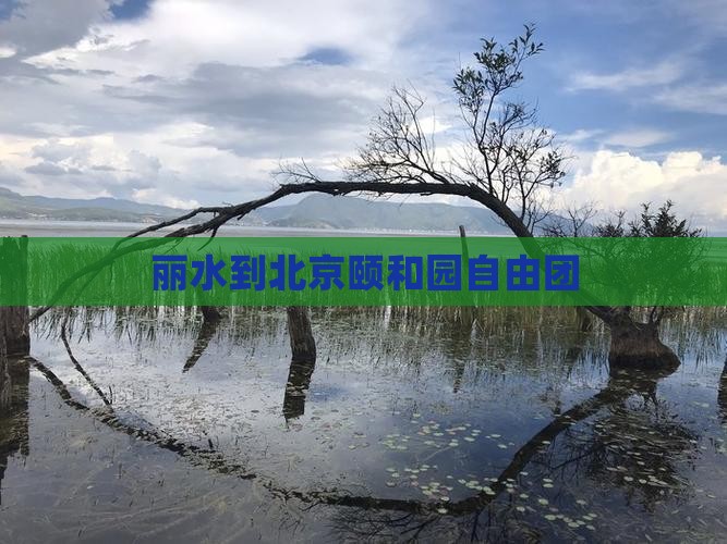 丽水到北京颐和园自由团