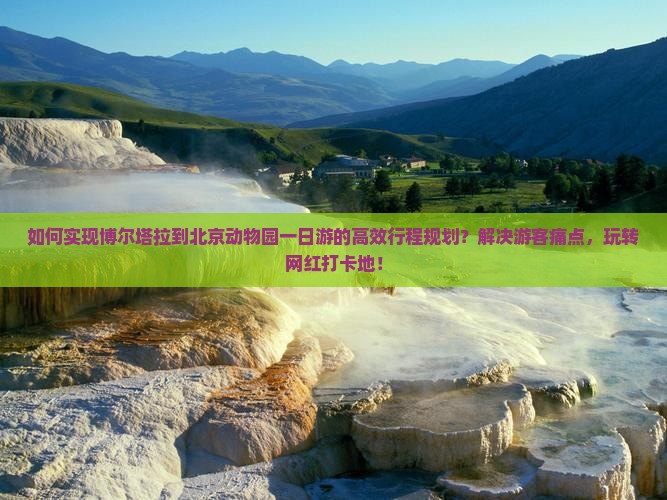 如何实现博尔塔拉到北京动物园一日游的高效行程规划？解决游客痛点，玩转网红打卡地！