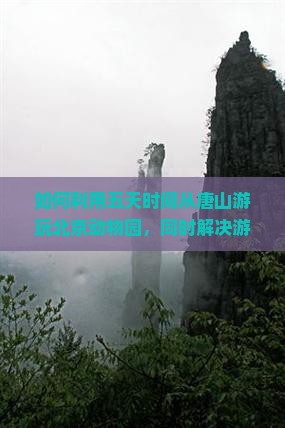 如何利用五天时间从唐山游玩北京动物园，同时解决游客痛点和融入热词新词？