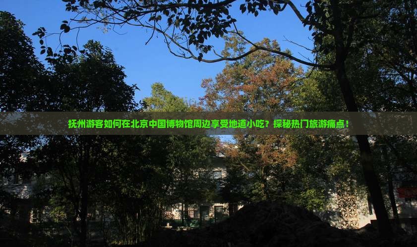 抚州游客如何在北京中国博物馆周边享受地道小吃？探秘热门旅游痛点！