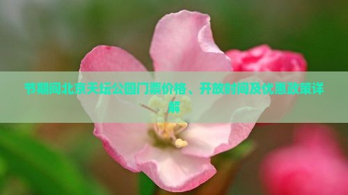 节期间北京天坛公园门票价格、开放时间及优惠政策详解