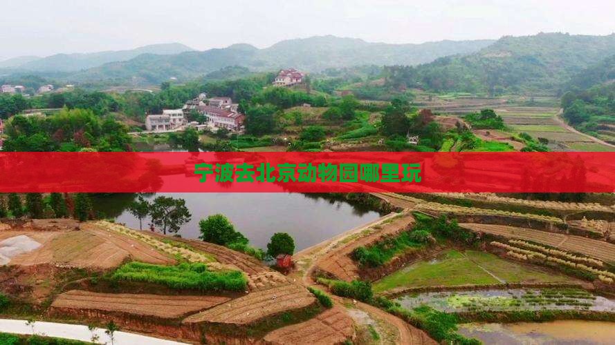 宁波去北京动物园哪里玩