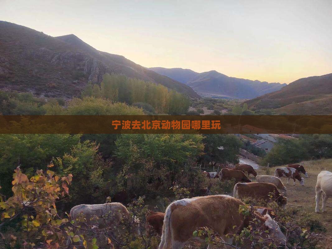 宁波去北京动物园哪里玩