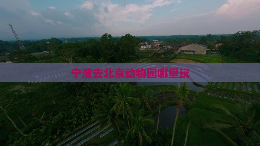 宁波去北京动物园哪里玩