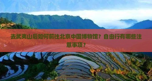 去武夷山后如何前往北京中国博物馆？自由行有哪些注意事项？