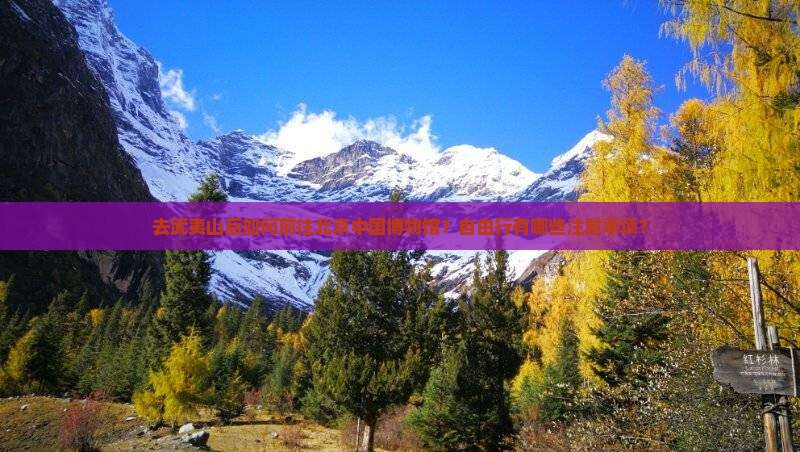 去武夷山后如何前往北京中国博物馆？自由行有哪些注意事项？