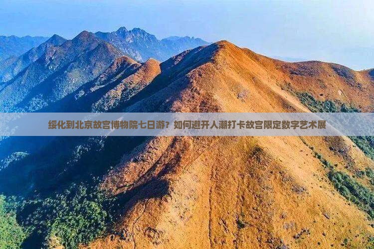绥化到北京故宫博物院七日游？如何避开人潮打卡故宫限定数字艺术展