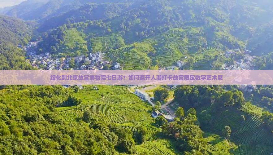 绥化到北京故宫博物院七日游？如何避开人潮打卡故宫限定数字艺术展