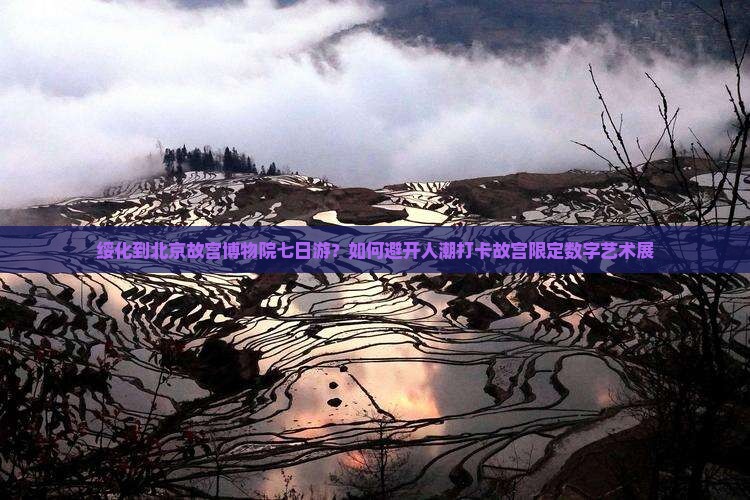 绥化到北京故宫博物院七日游？如何避开人潮打卡故宫限定数字艺术展