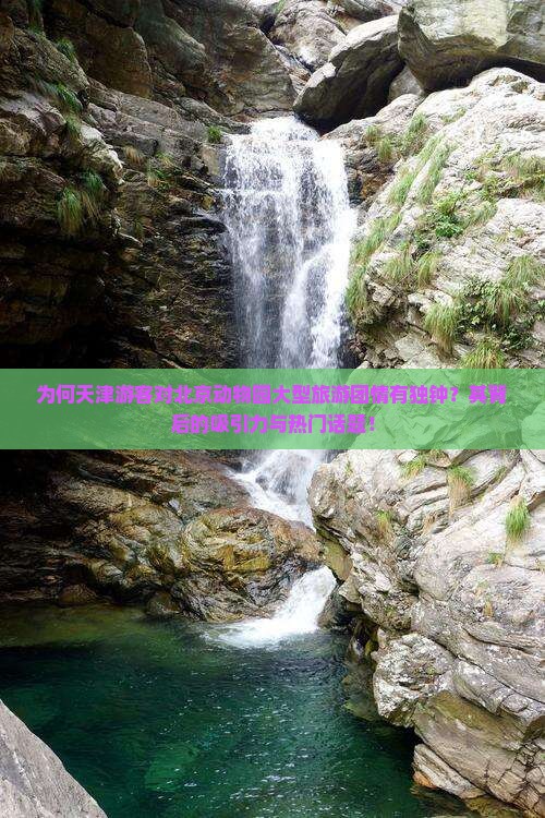 为何天津游客对北京动物园大型旅游团情有独钟？其背后的吸引力与热门话题！