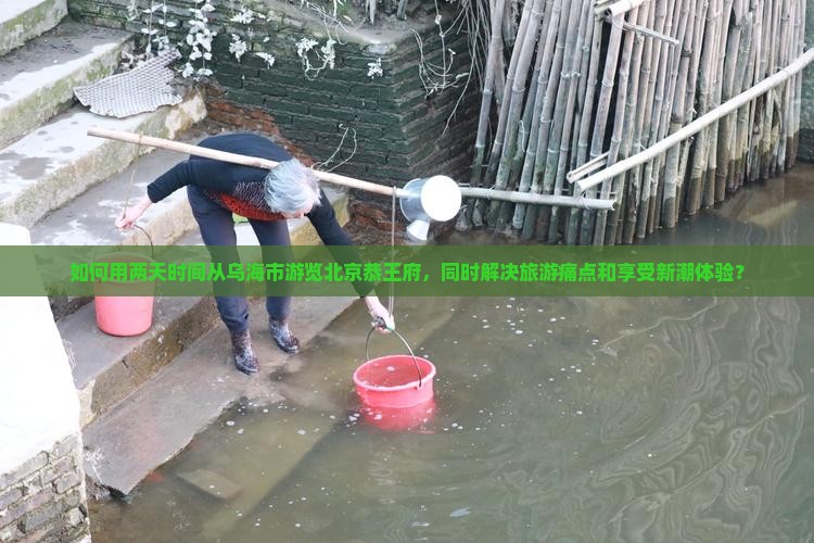 如何用两天时间从乌海市游览北京恭王府，同时解决旅游痛点和享受新潮体验？