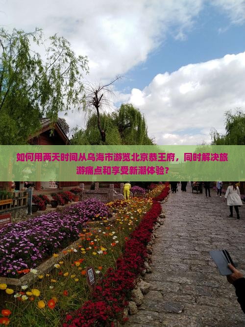 如何用两天时间从乌海市游览北京恭王府，同时解决旅游痛点和享受新潮体验？