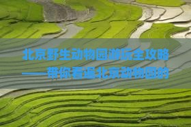北京野生动物园游玩全攻略——带你看遍北京动物园的精彩动物世界
