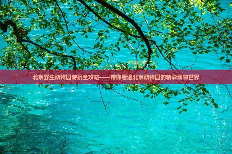 北京野生动物园游玩全攻略——带你看遍北京动物园的精彩动物世界