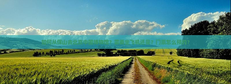 如何从保山去北京中国博物馆？需要坐飞机还是？门票怎么预约？