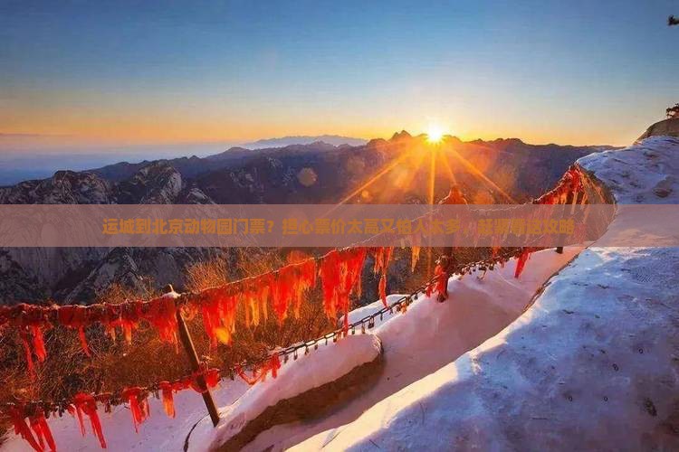 运城到北京动物园门票？担心票价太高又怕人太多，赶紧看这攻略