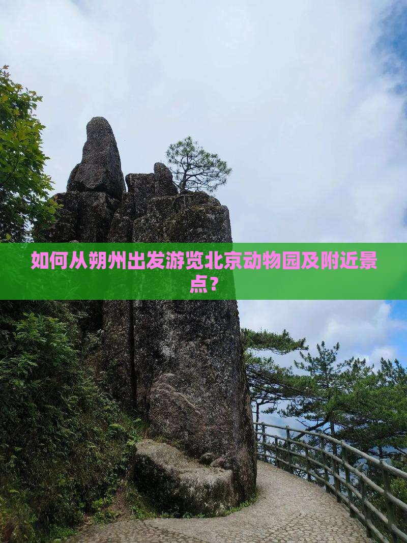 如何从朔州出发游览北京动物园及附近景点？