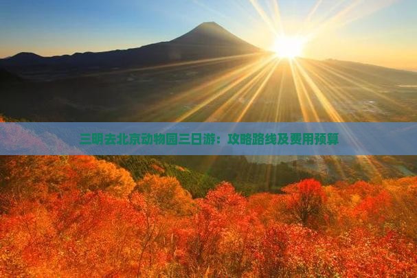 三明去北京动物园三日游：攻略路线及费用预算
