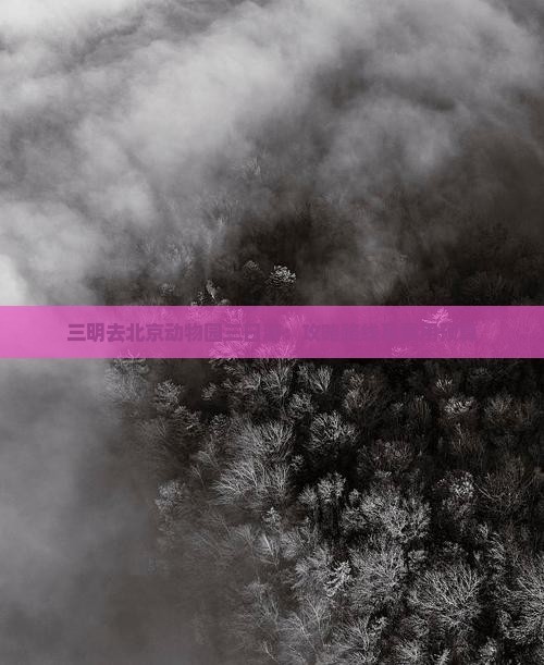 三明去北京动物园三日游：攻略路线及费用预算