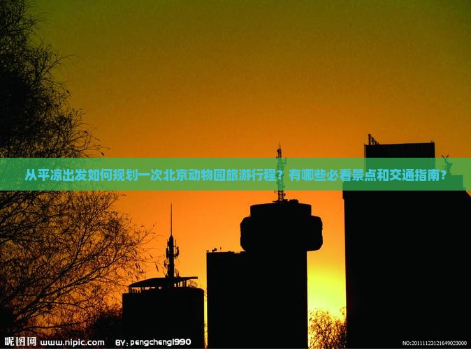从平凉出发如何规划一次北京动物园旅游行程？有哪些必看景点和交通指南？