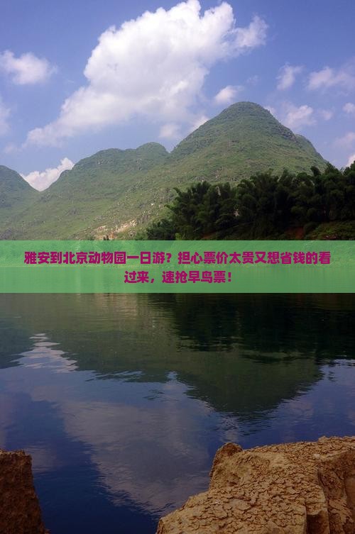 雅安到北京动物园一日游？担心票价太贵又想省钱的看过来，速抢早鸟票！