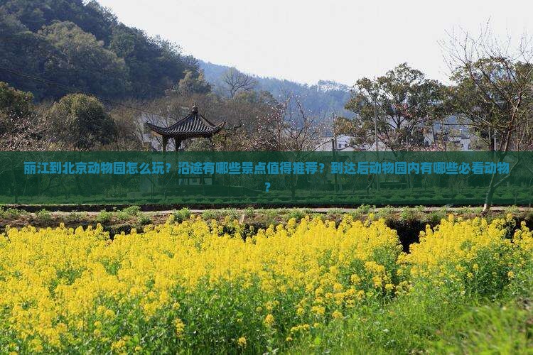 丽江到北京动物园怎么玩？沿途有哪些景点值得推荐？到达后动物园内有哪些必看动物？