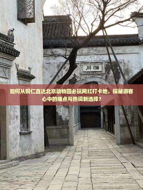 如何从铜仁直达北京动物园必玩网红打卡地，探秘游客心中的痛点与热词新选择？